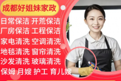 家庭保洁专家，专业细致更贴心，玻璃清洁，物品整理、地面清洁、