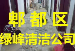 全成都专业做家庭保洁、开荒保洁、擦玻璃、洗地毯、洗油烟机